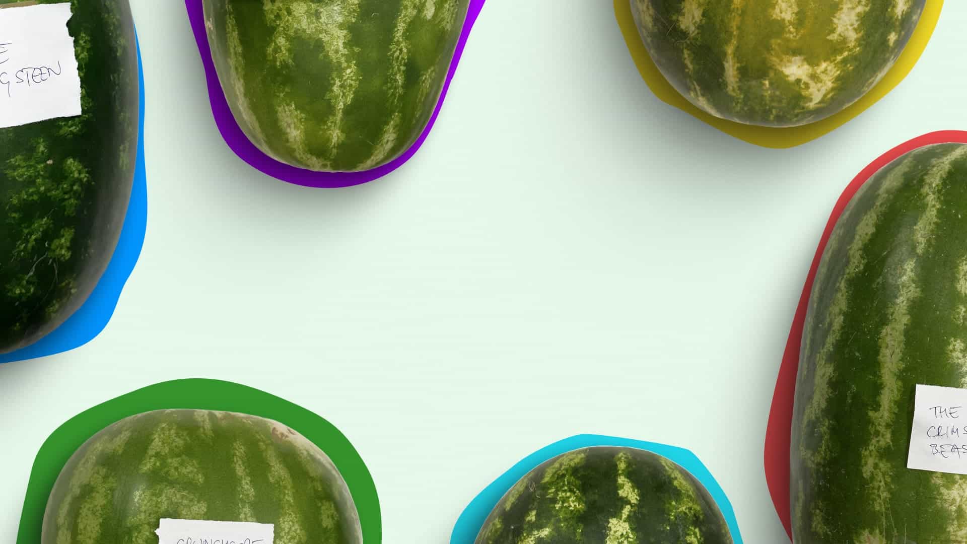 The AI Watermelon Challenge